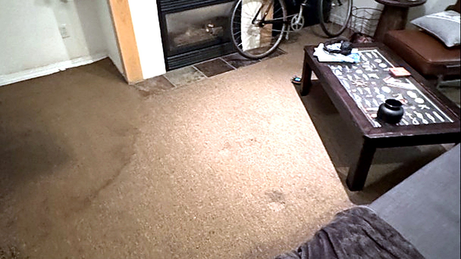 Arrival — living room carpet saturated after water intrusion