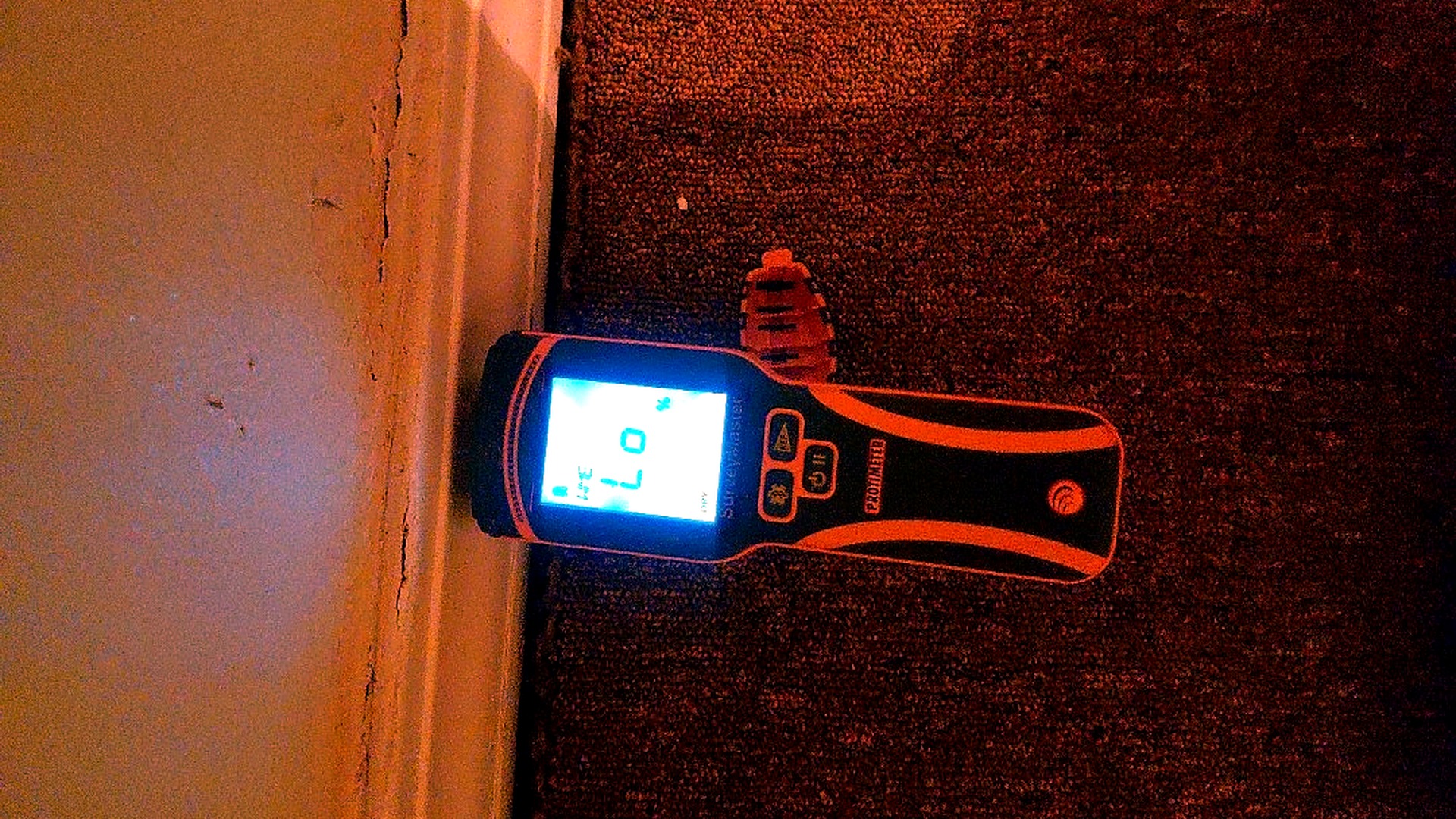 Progress — Protimeter Surveymaster reading LO / DRY at baseboard