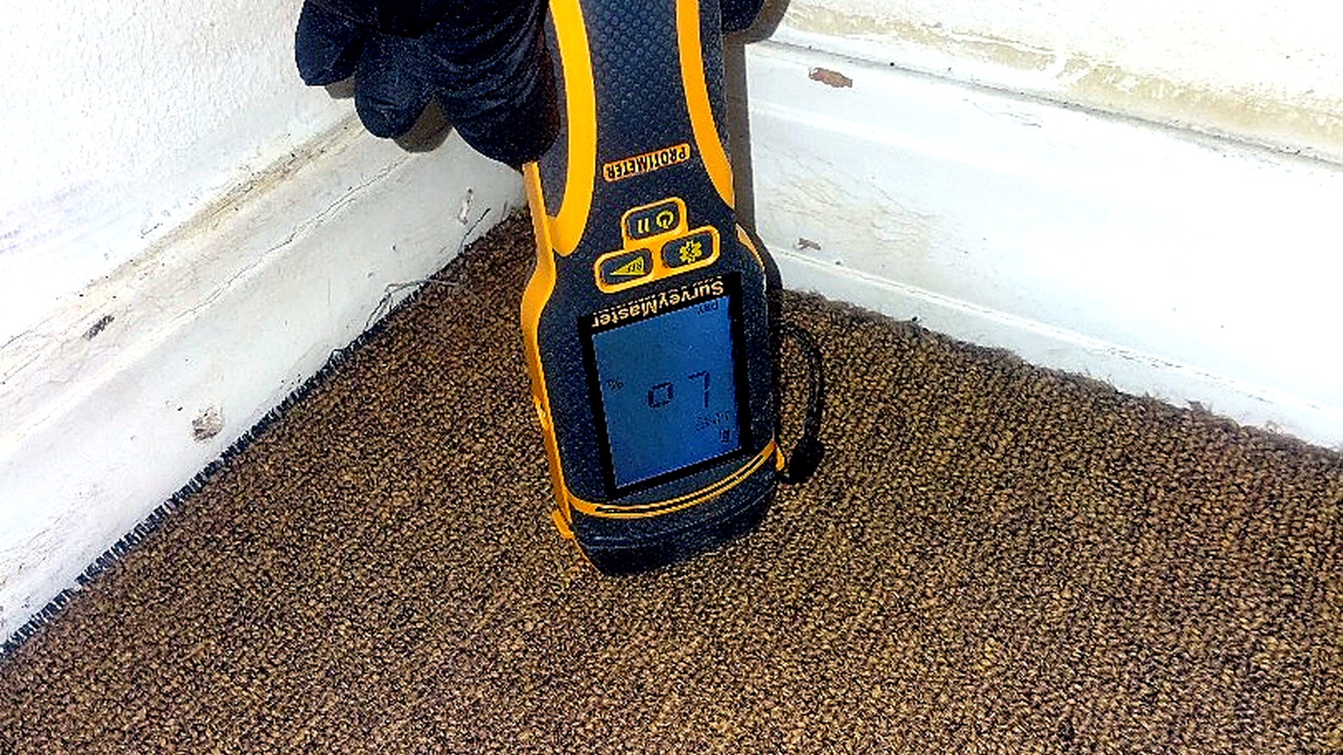 Near complete — gloved moisture survey confirming low readings