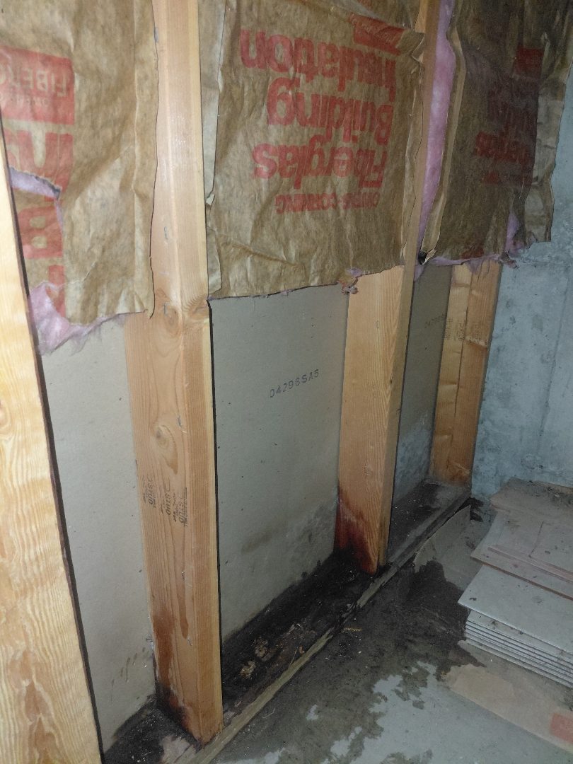 Demo — wall opened to expose wet studs and bottom plate