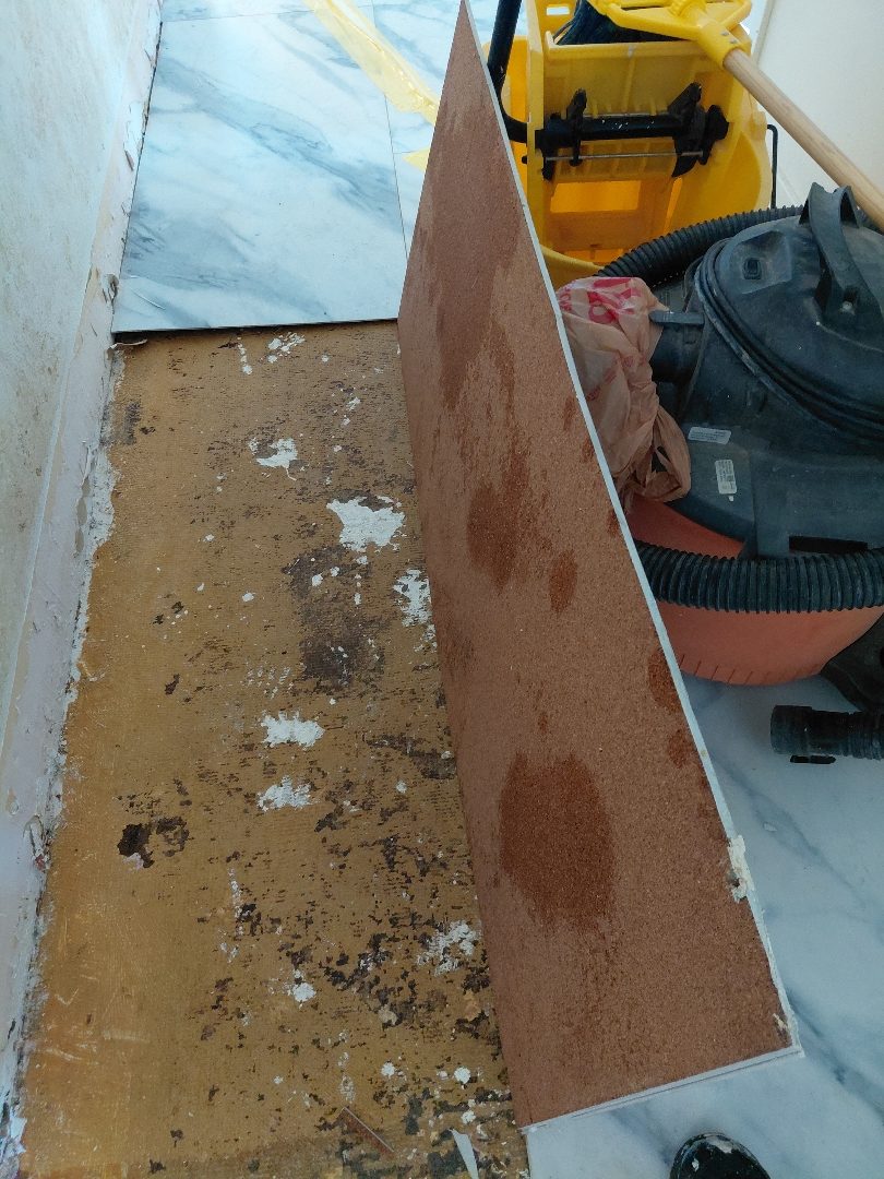 Demo — tile lifted to expose wet underlayment