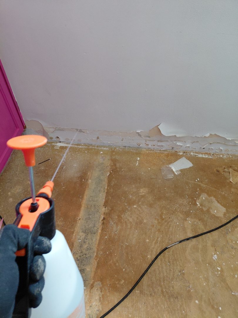 Demo — antimicrobial applied to exposed subfloor and plates