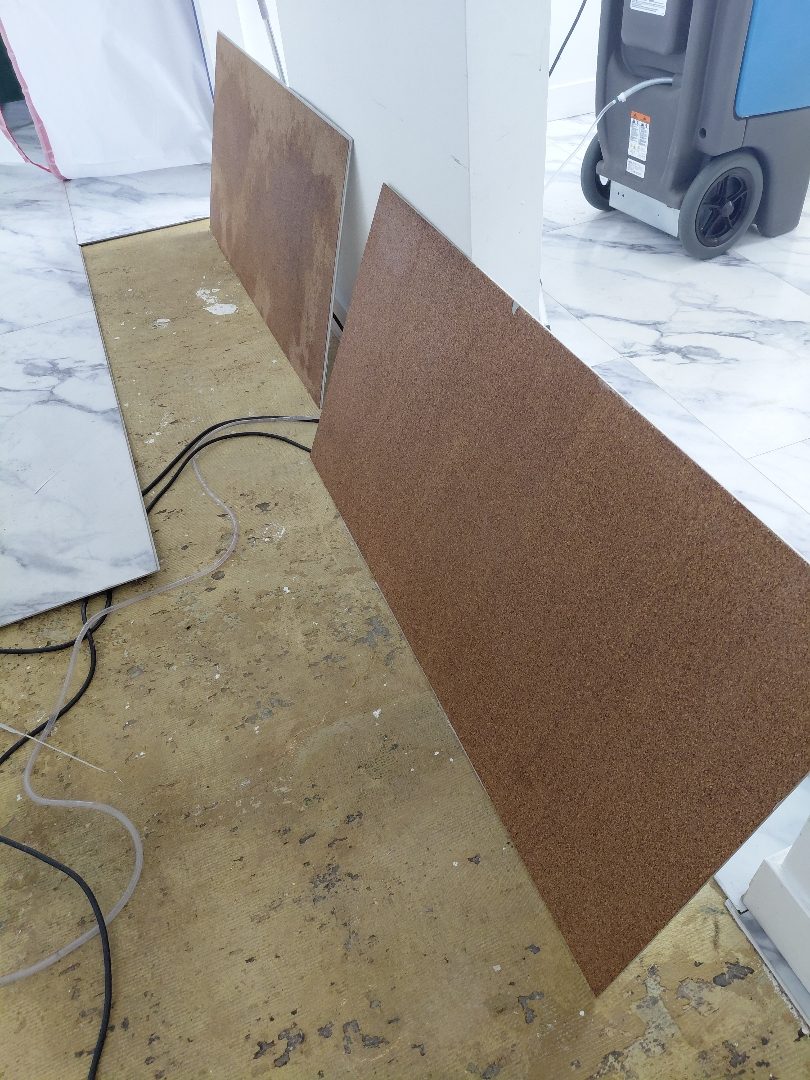 Containment — poly sheeting at the work-zone doorway